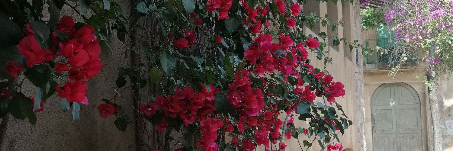 Núria Comas Vaqué banner