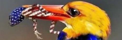 lepon03's profile banner image