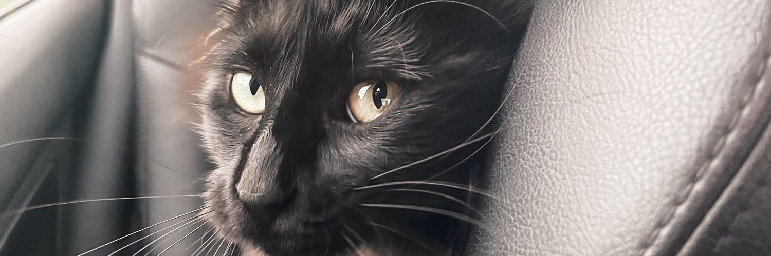 Euggeenava's profile banner image