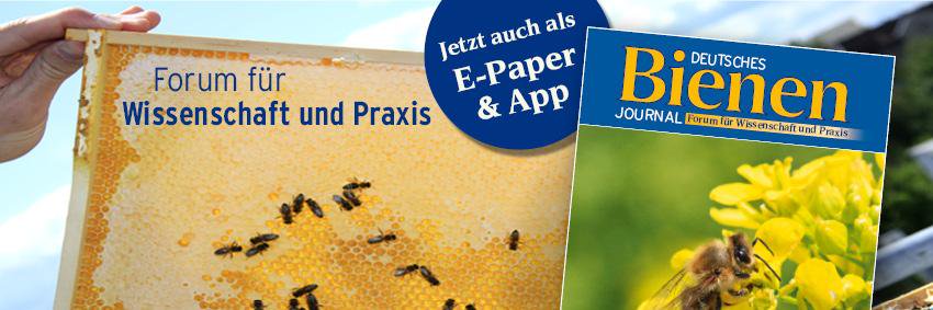 Bienenjournal2's profile banner image