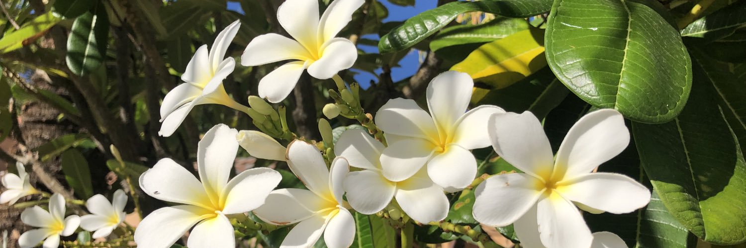 bethanyeastham's profile banner image