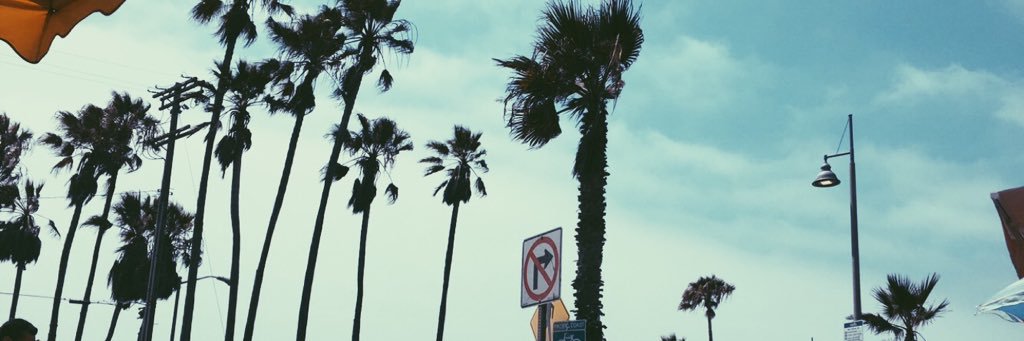 nic_nas's profile banner image