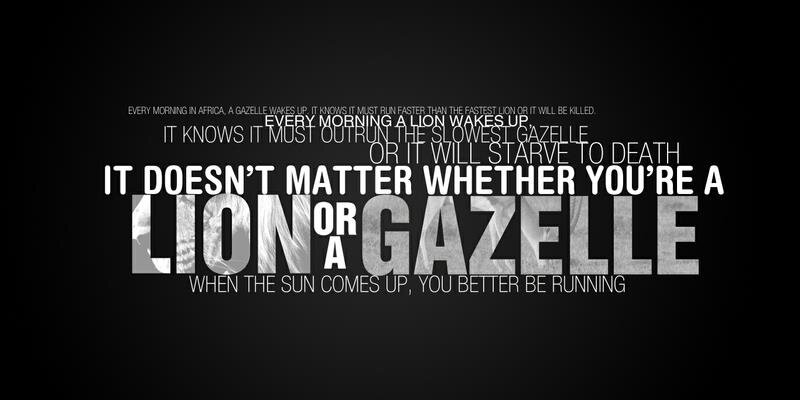 Paul Brownfield banner