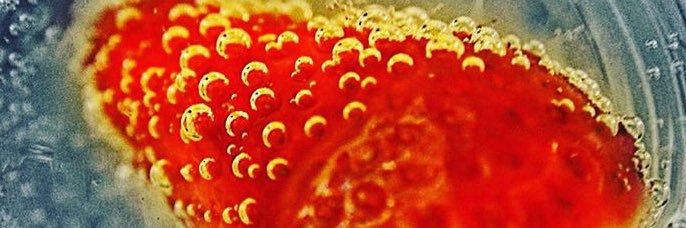 chefingcrisis's profile banner image