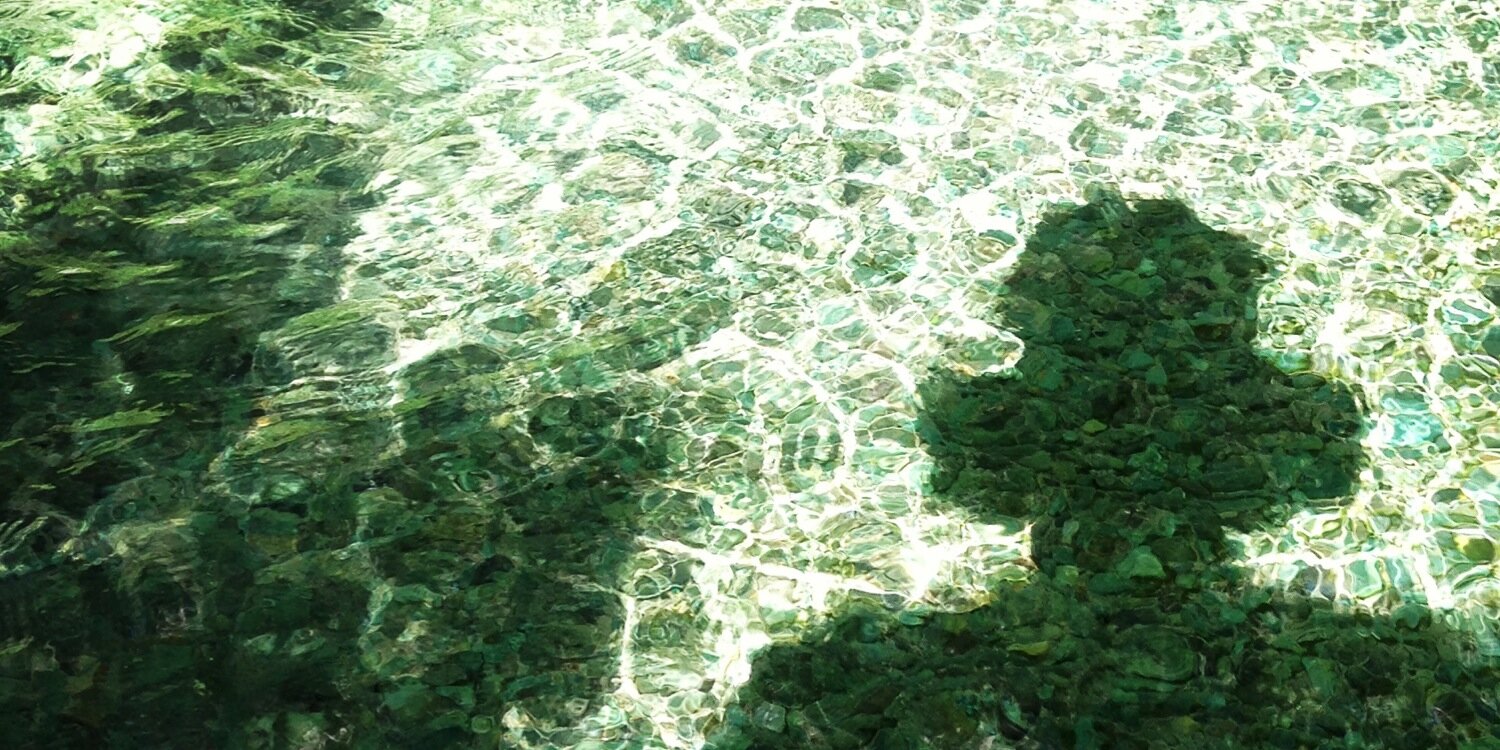 _grok_'s profile banner image