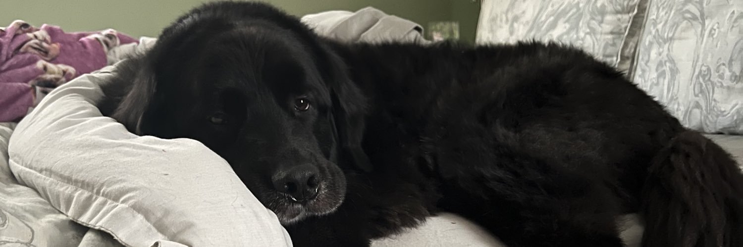 kaylaasmith95's profile banner image