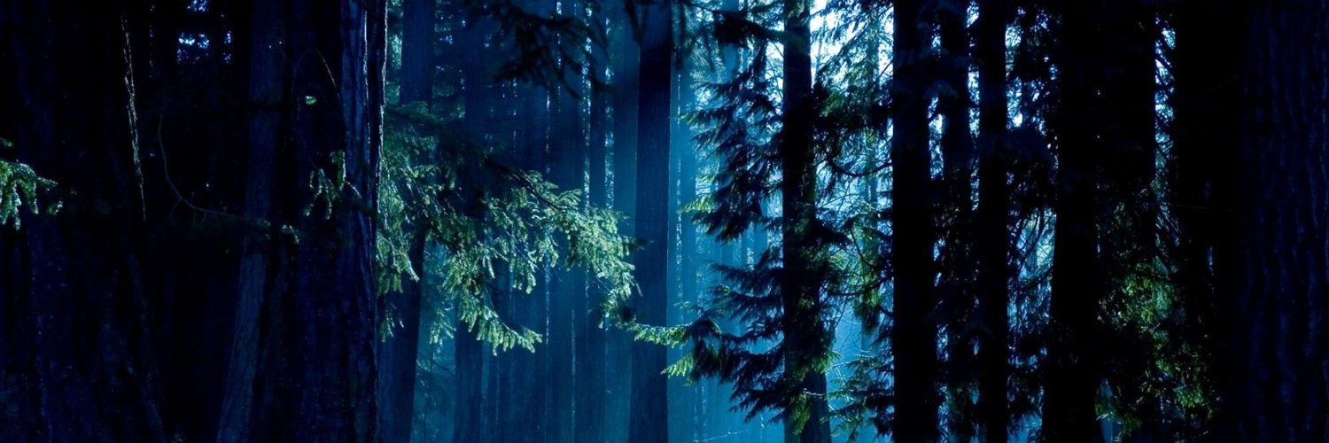 MuhaYuzon's profile banner image