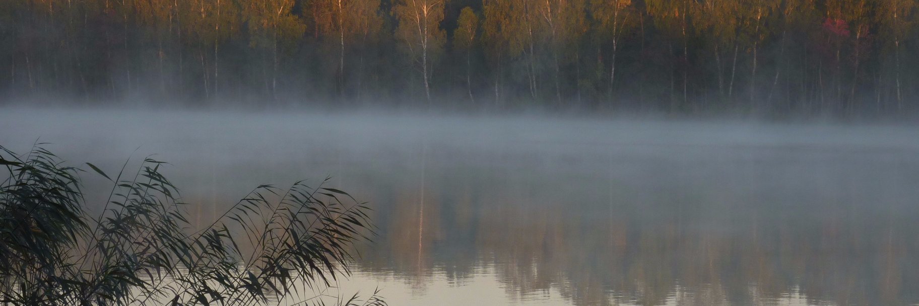 GunterKonig's profile banner image