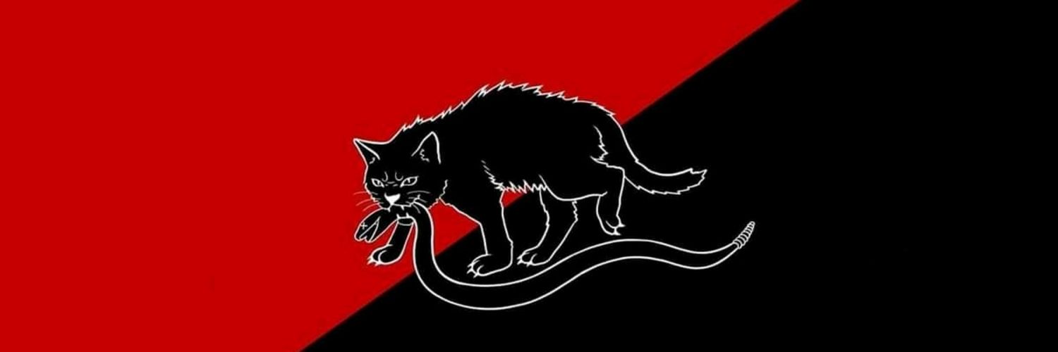 Pablo banner