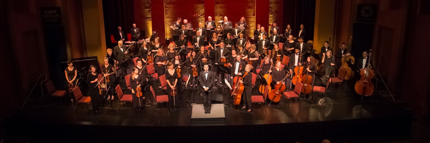 Bloomington Symphony Orchestra - Indiana banner