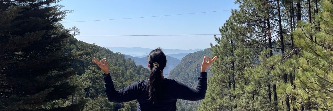 Larissa_AvilaCh's profile banner image