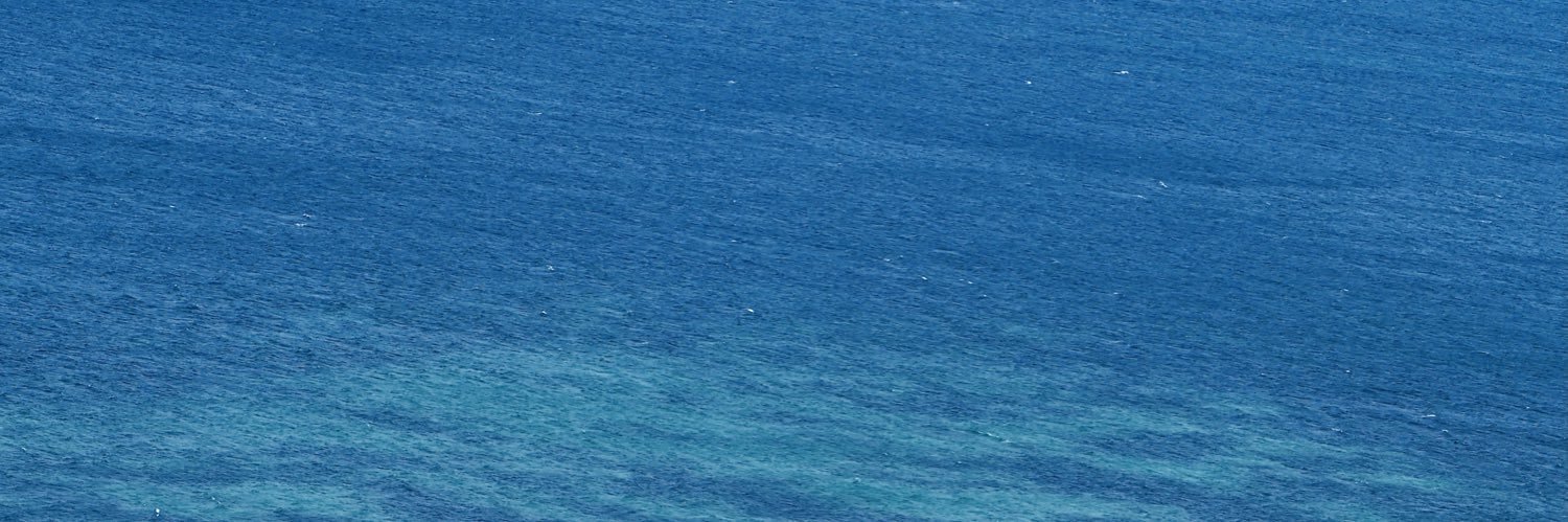____marinna's profile banner image