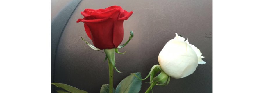 OmJimy's profile banner image