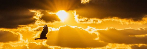 LunaValienteRD Profile Banner