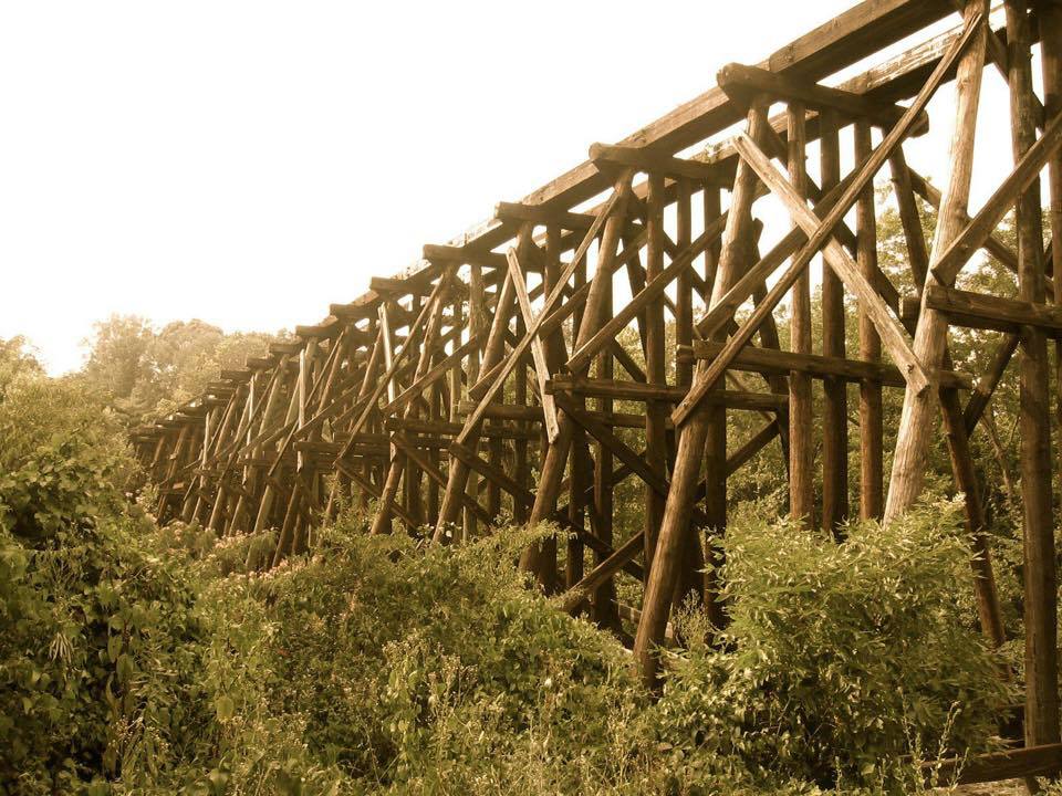 Scott Huffard banner