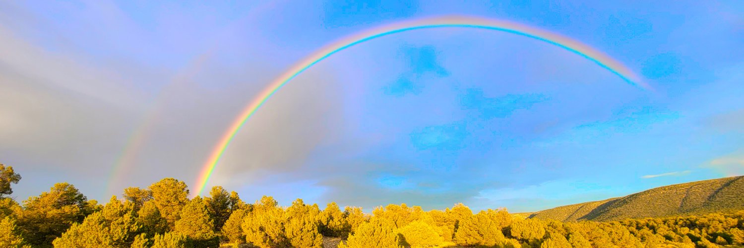LSperal's profile banner image