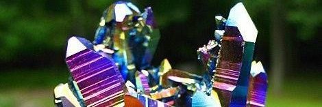 shellgirlxx's profile banner image