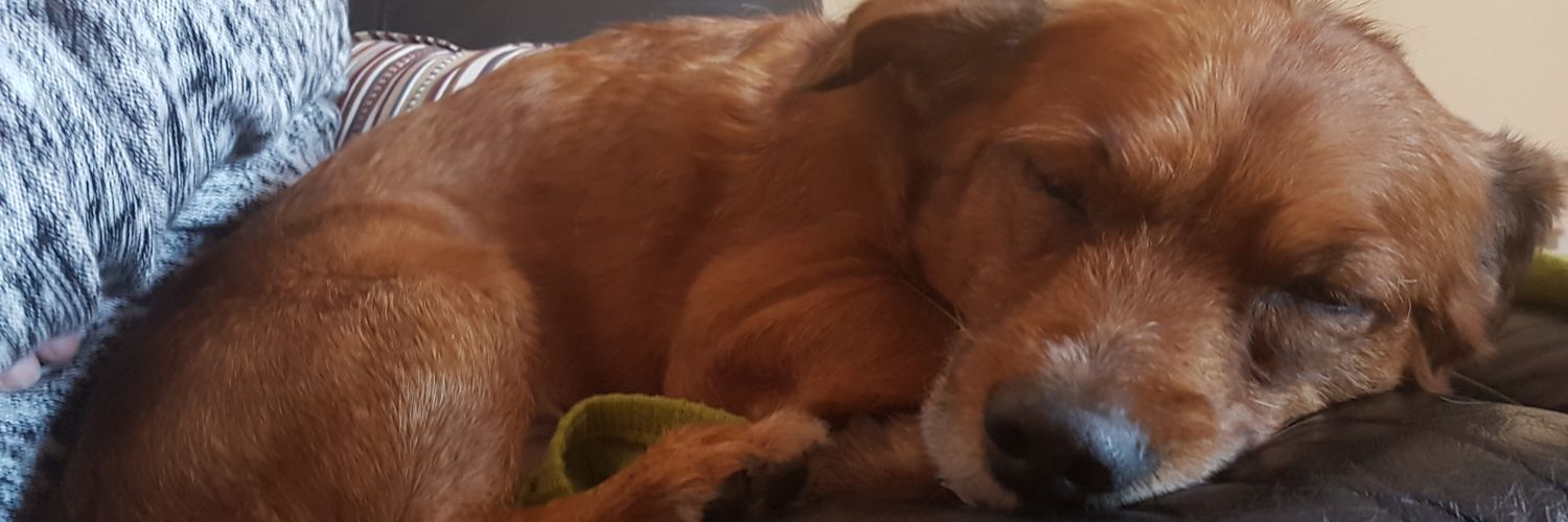 LargoRu's profile banner image