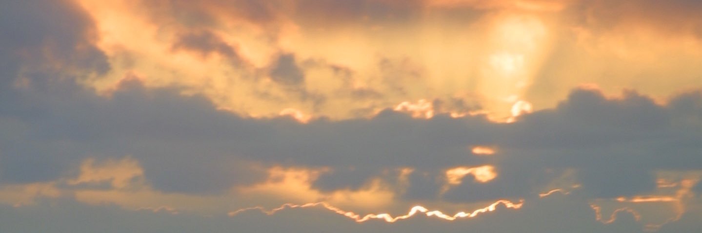 Jim Michaels's banner