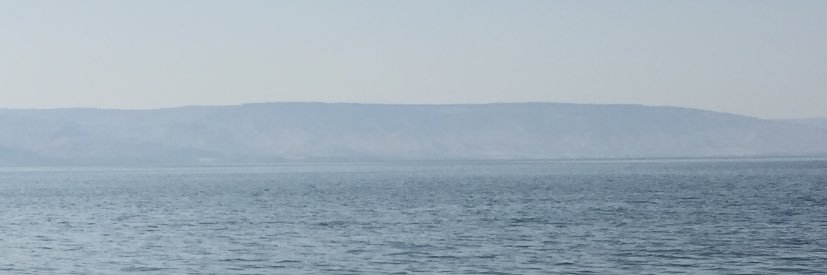 alejandraOMS's profile banner image