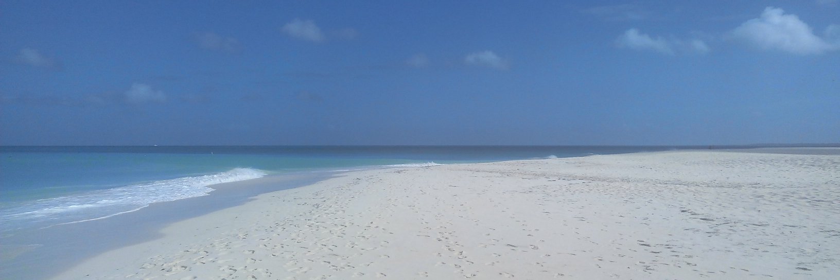 lopesaura's profile banner image