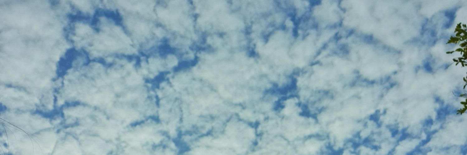 pkaldave's profile banner image