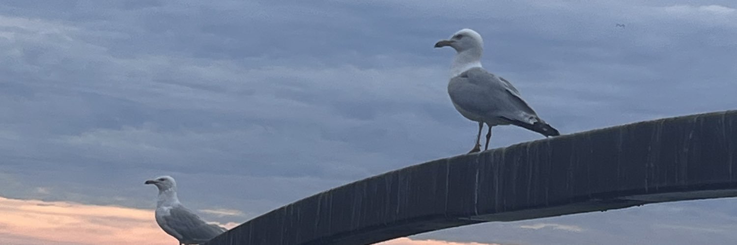 kensterjr's profile banner image