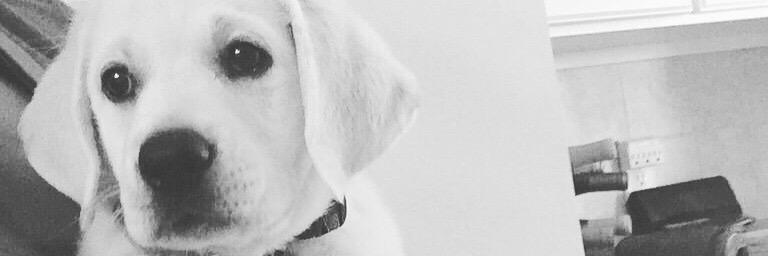 _abbidean's profile banner image