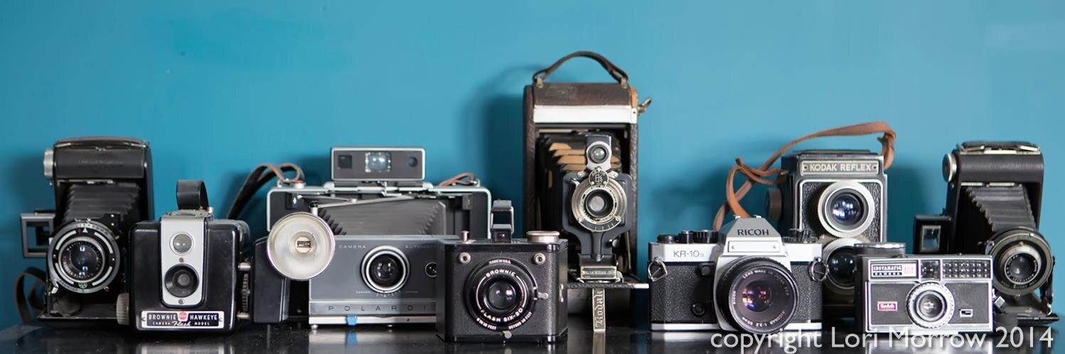 PhotoLori1's profile banner image