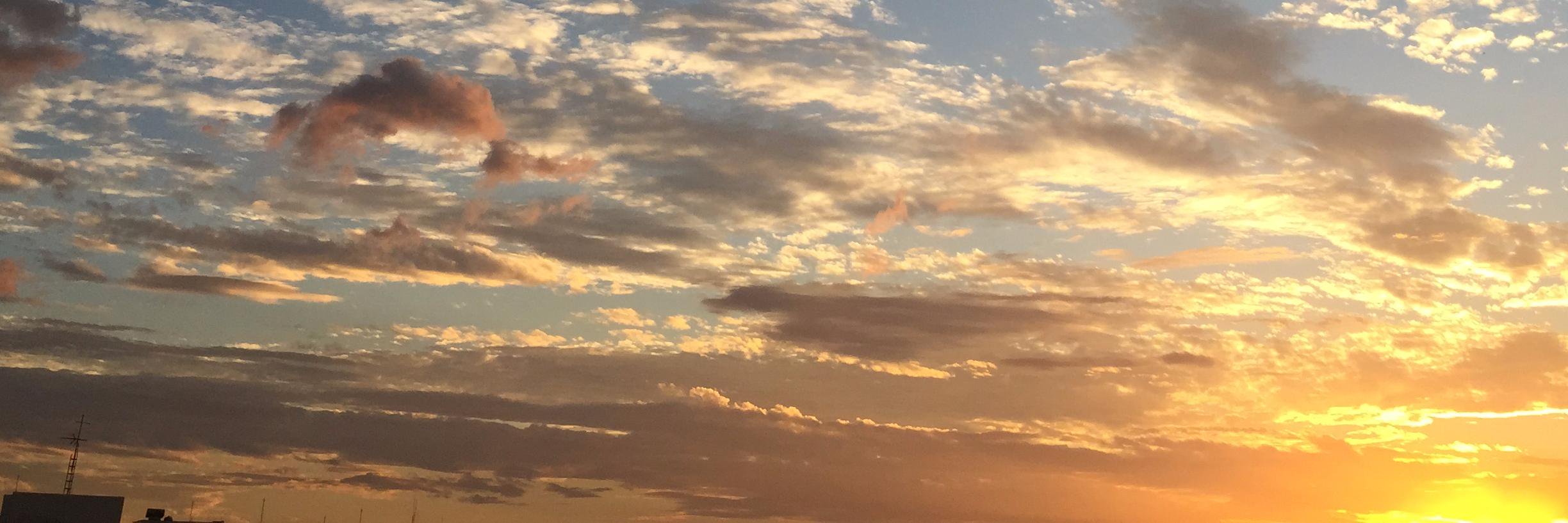 Cecilia Jaber banner