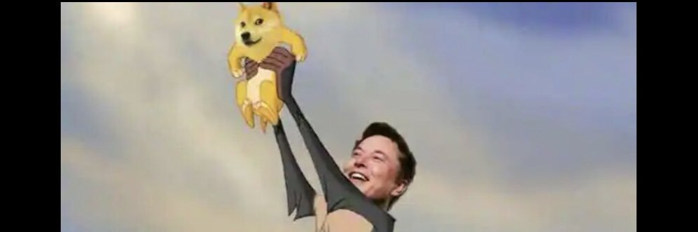 pajoncha's profile banner image