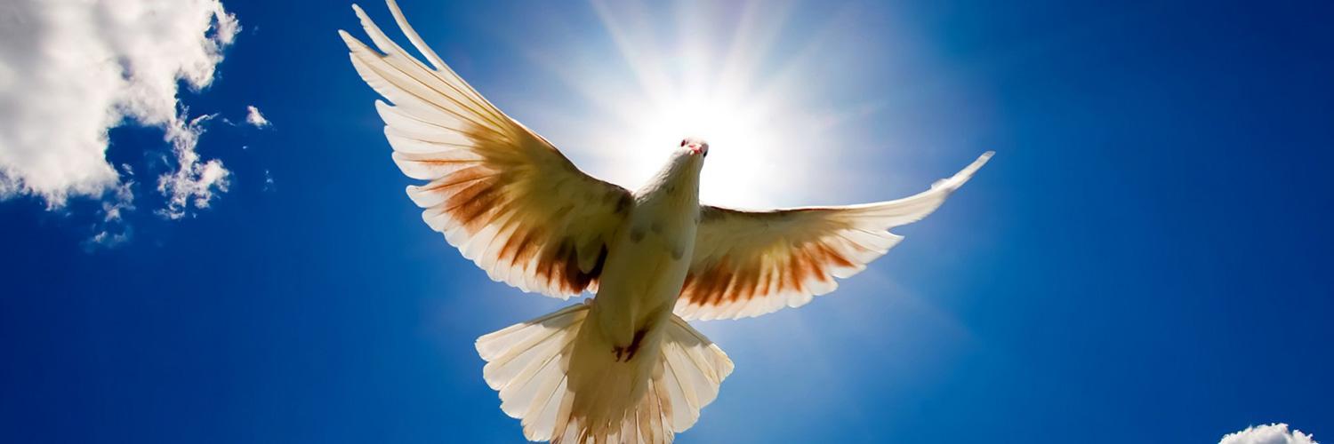 Profound_Meanin's profile banner image