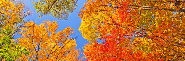 6abcWeather Profile Banner