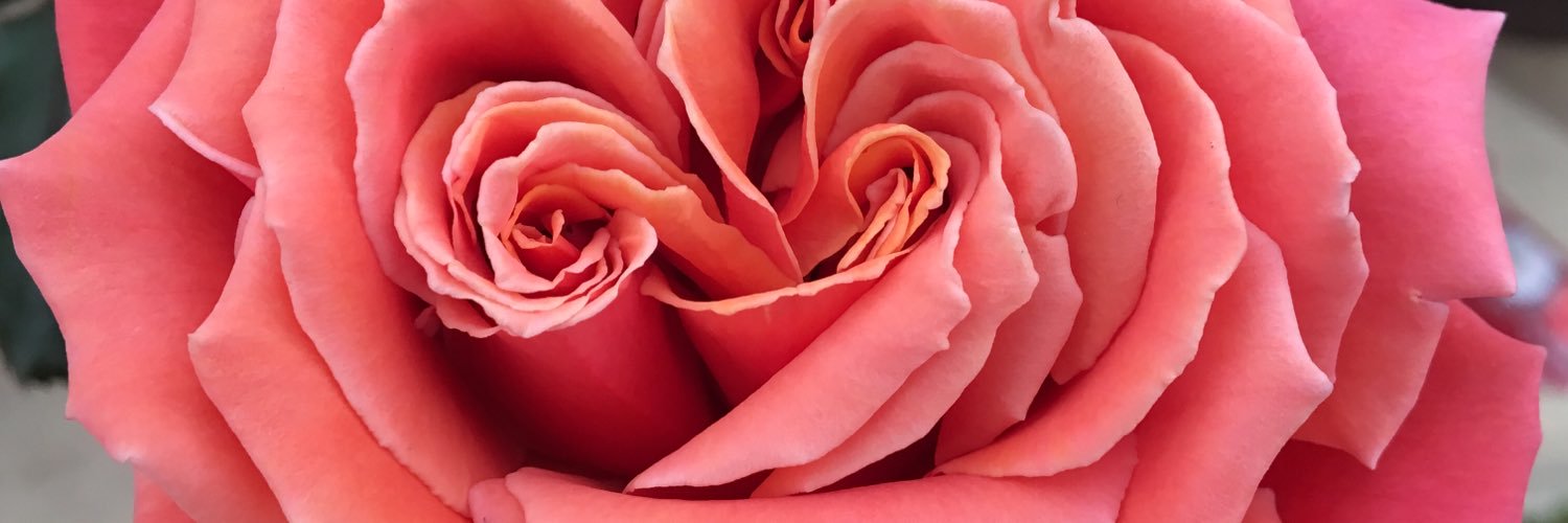 BellaTricks40's profile banner image