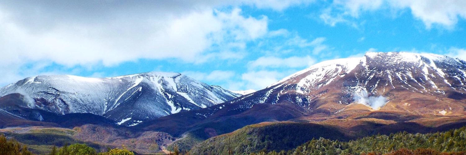 NatalieBrackers's profile banner image
