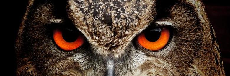 abdulmamua's profile banner image