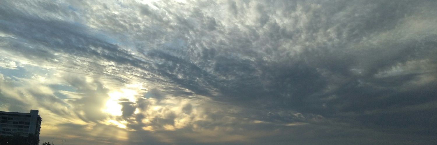 Samu_miss's profile banner image