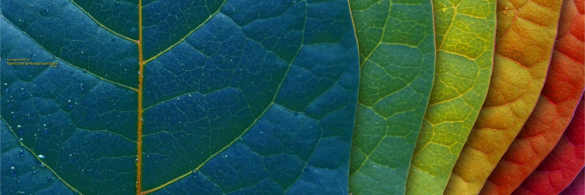 DemanimYok's profile banner image