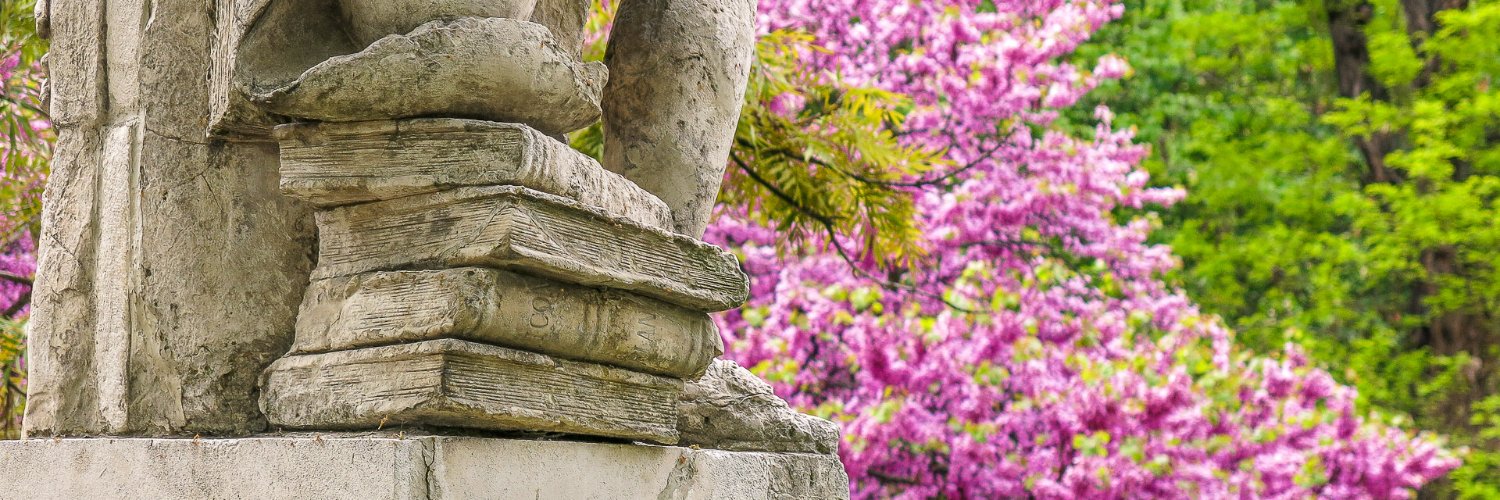 RJBOTANICO's profile banner image