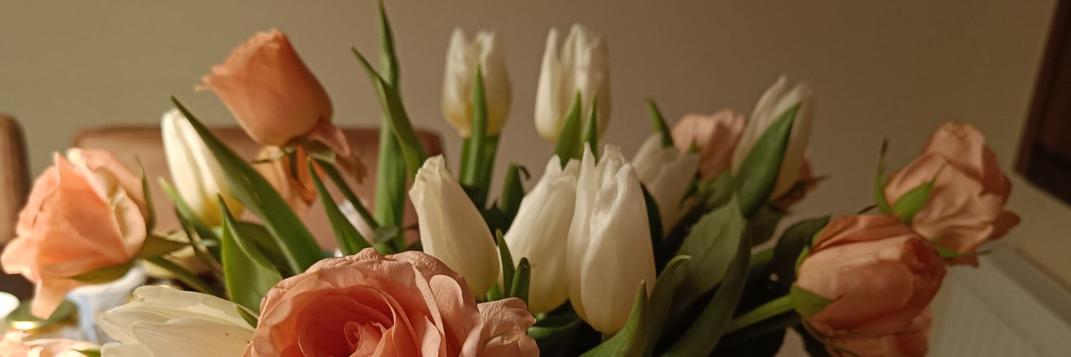 SIhanainen's profile banner image