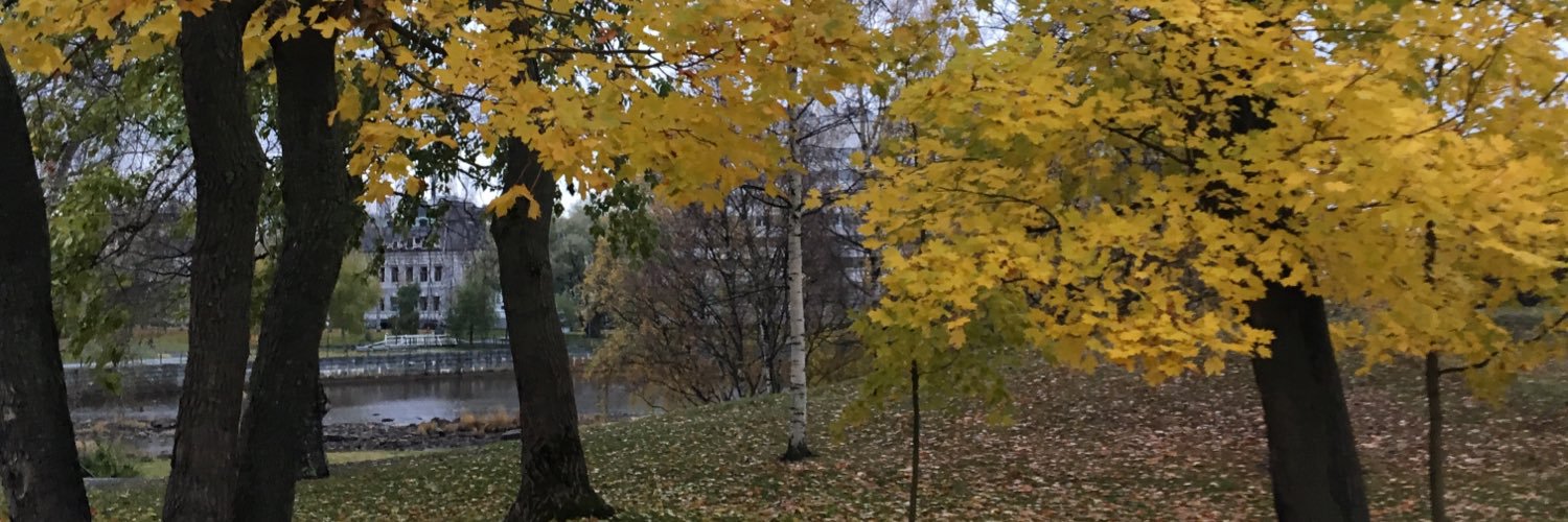anna_vaara's profile banner image