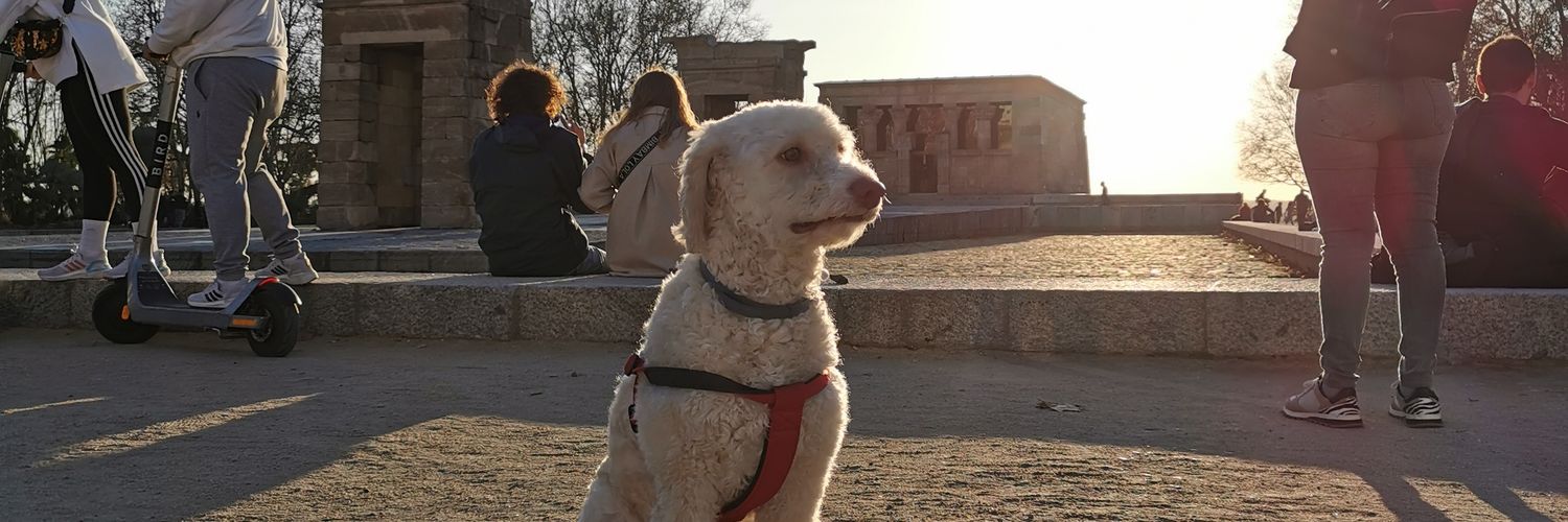 AlbertoBello__'s profile banner image