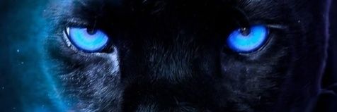 Phindi_y🇿🇦 banner