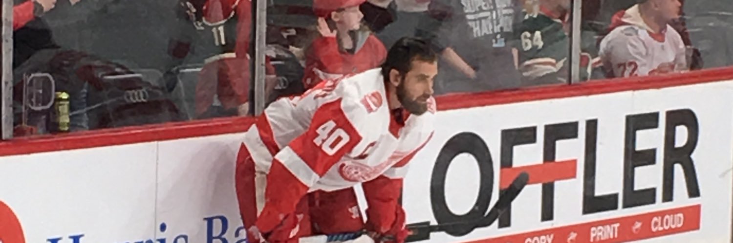 Meridith Nordin banner