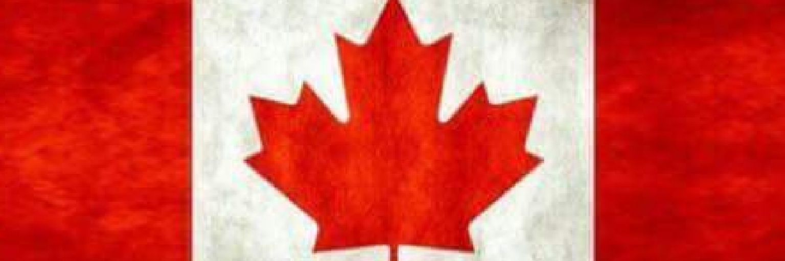 Moriority's profile banner image
