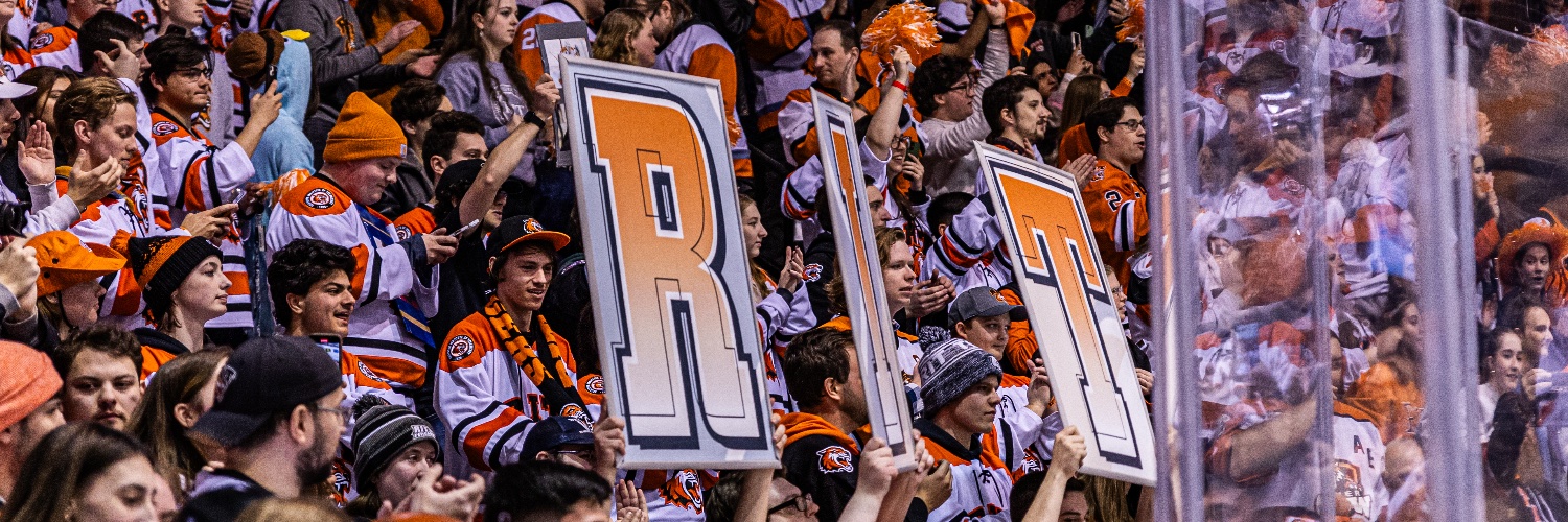 RIT Arenas banner