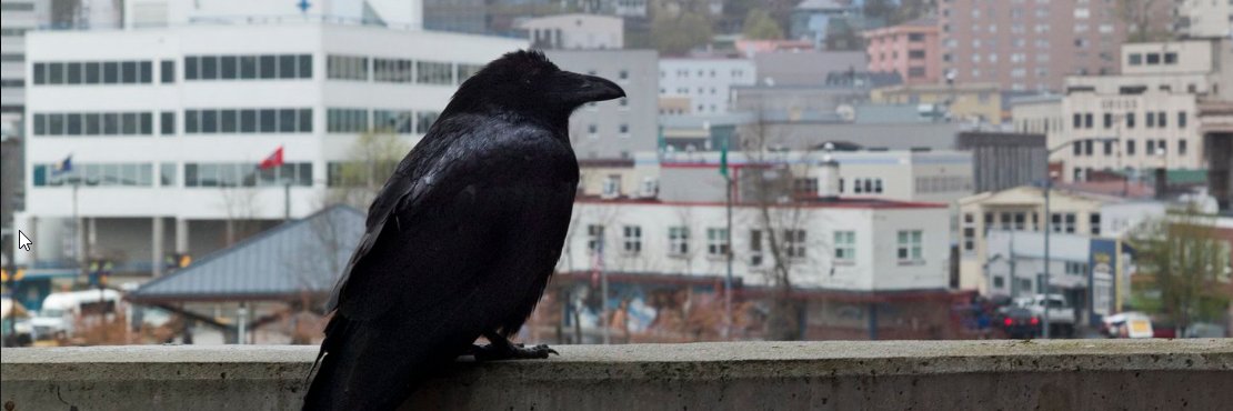 TimeForAgorism banner