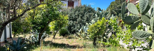 eneiLereseV Profile Banner