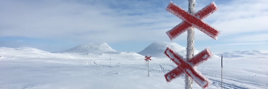 MoaBreivik's profile banner image