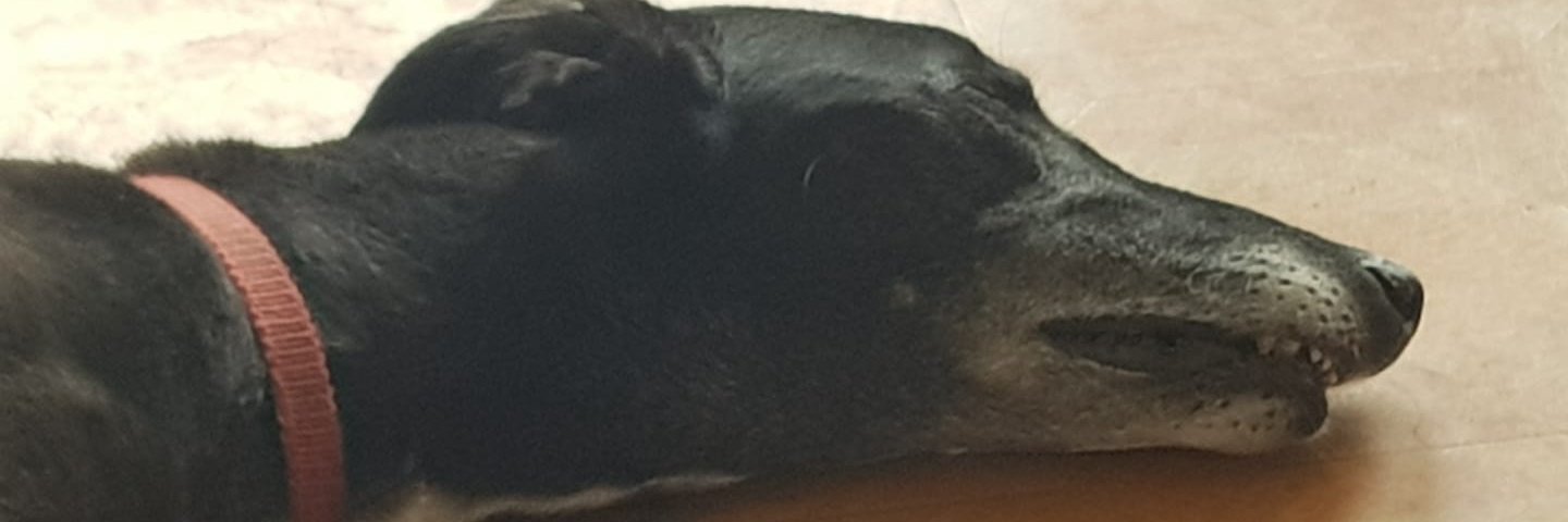 charlie_will's profile banner image